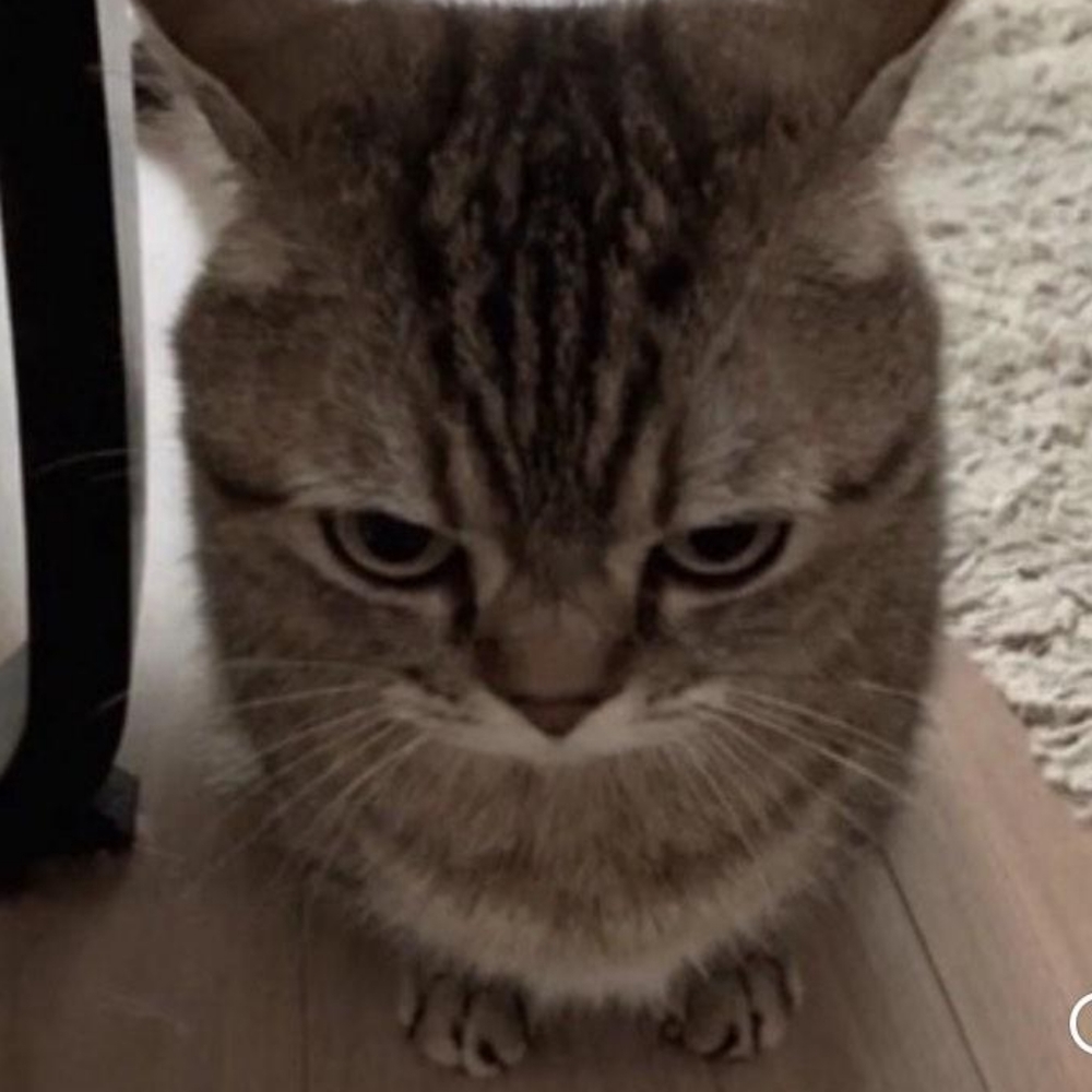 Meet your Posher, Jayren